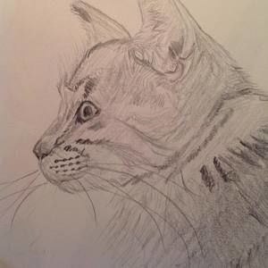 Meet your Posher, Kathryn